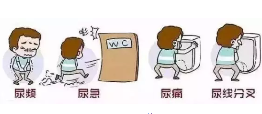 柳州男性的前列炎哪看好？保养前列腺的方法(图1)